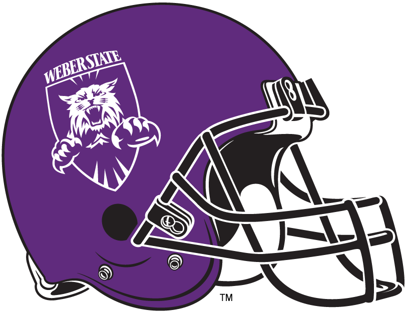 Weber State Wildcats 2006-2011 Helmet Logo DIY iron on transfer (heat transfer)